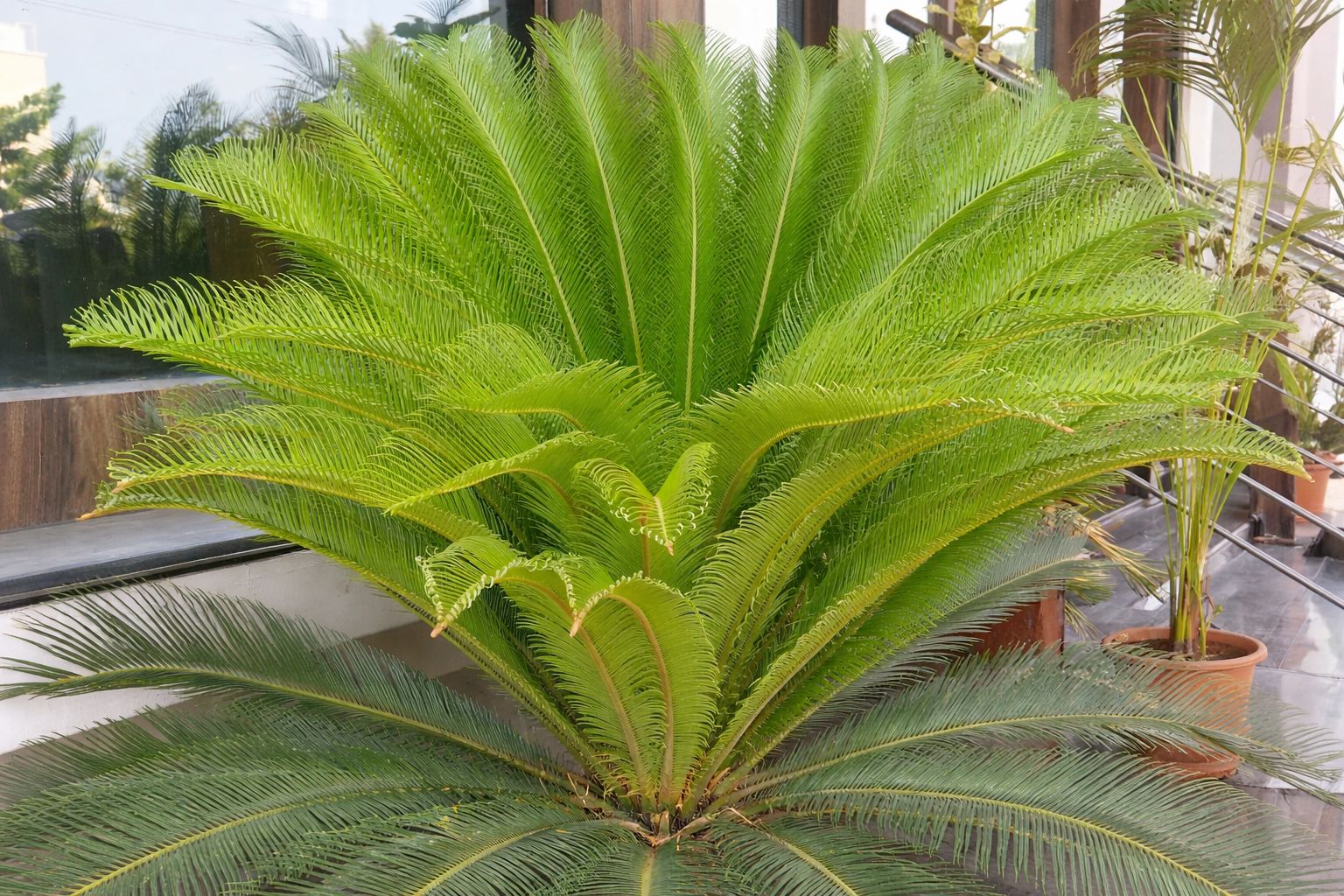 shri-swaminarayan-vishrati-bhavan-bhuj-10